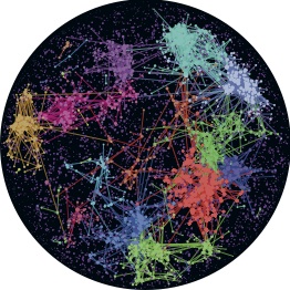 Neuronal networks