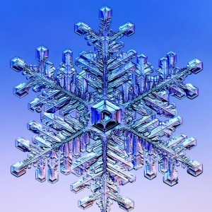snowflake11